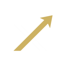 www.xpandli.com favicon